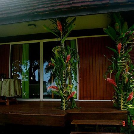 Tauhanihani Village Lodge La Vague Bleue Teahupoo Εξωτερικό φωτογραφία