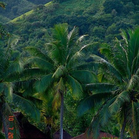 Tauhanihani Village Lodge La Vague Bleue Teahupoo Εξωτερικό φωτογραφία