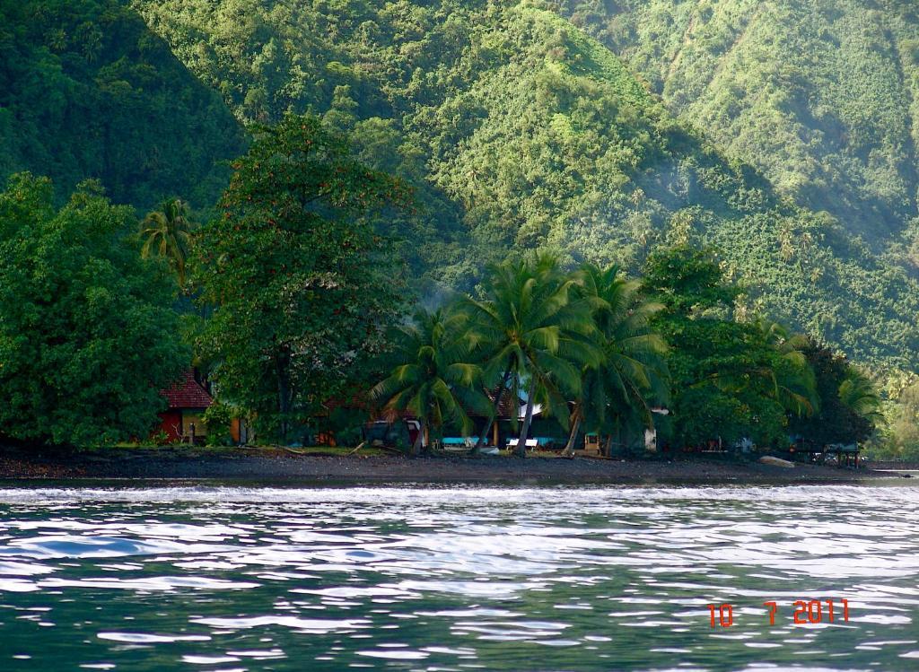 Tauhanihani Village Lodge La Vague Bleue Teahupoo Εξωτερικό φωτογραφία