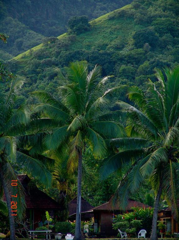 Tauhanihani Village Lodge La Vague Bleue Teahupoo Εξωτερικό φωτογραφία